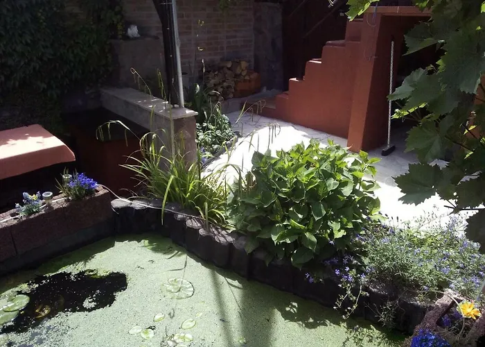 Haus Selina Casa vacanze *